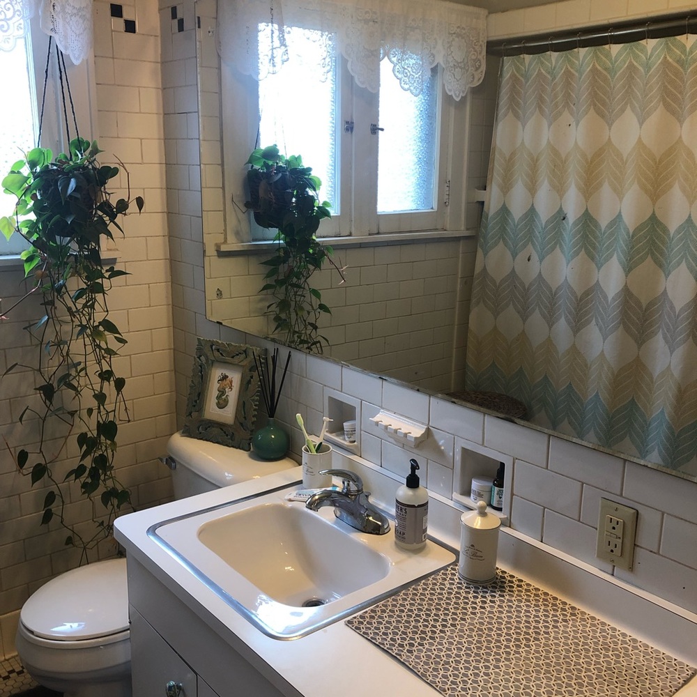 Pottery Barn Shower Curtain